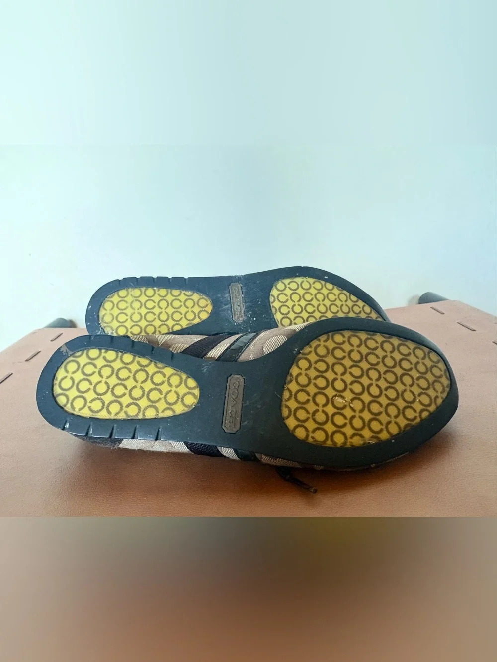 Coach low top